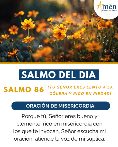 Salmo 8 octubre de agosto 2025 - amen comunicaciones