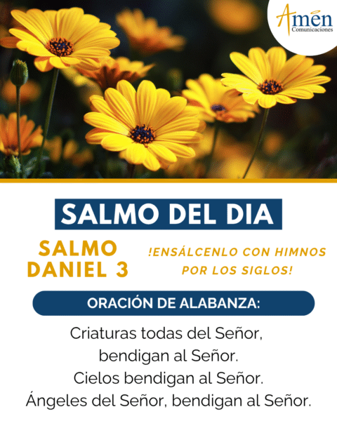 Salmo del día - 25 noviembre 2025