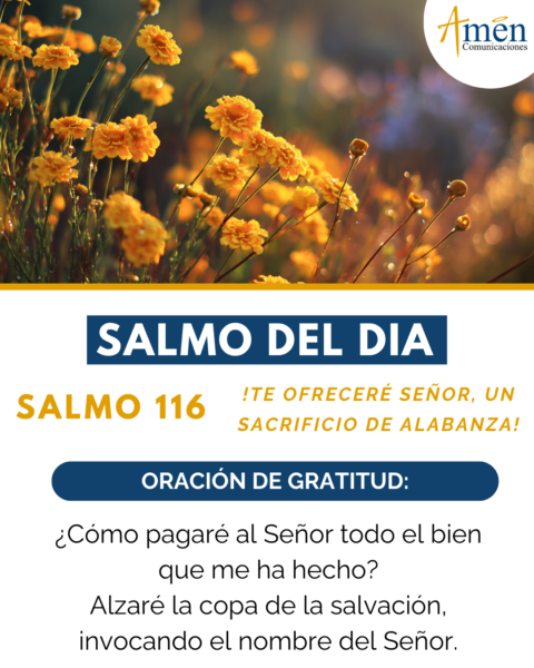 Evangelio de hoy 12 de enero 2026 - amen comunicaciones