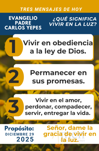Salmo del día - 29 de diciembre 2025 - padre carlos Yepes