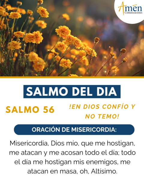 Evangelio de hoy 22 de enero 2026 - amen comunicaciones