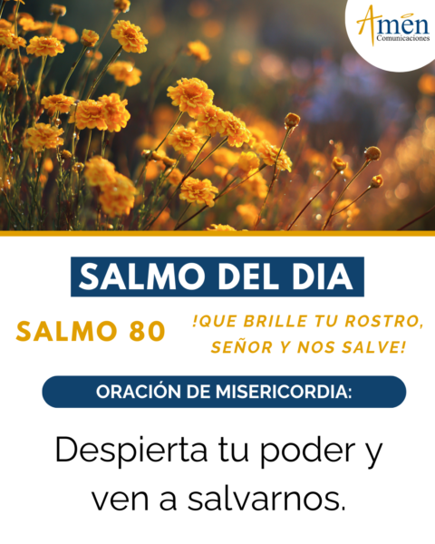Evangelio de hoy 24 de enero 2026 - amen comunicaciones