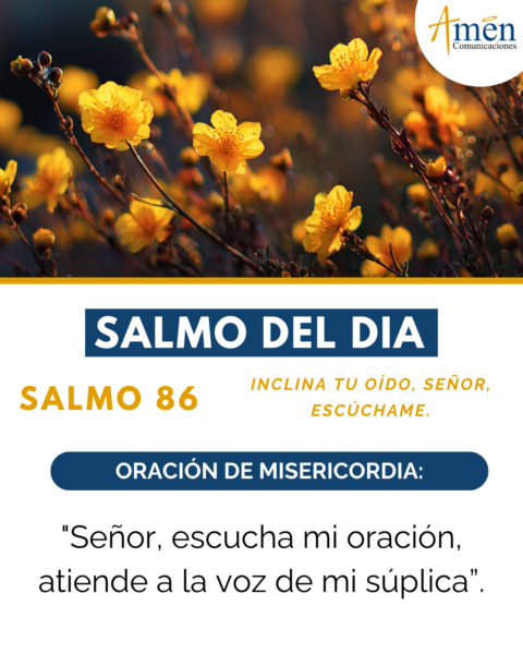Salmo de hoy 3 de febrero 2026 - amen comunicaciones