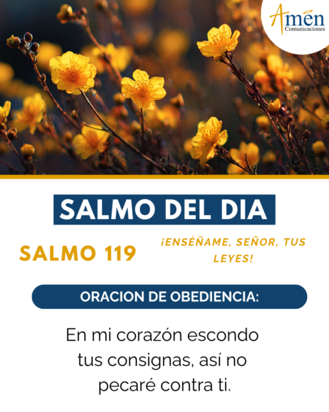 Salmo de hoy 8 de febrero 2026 - amen comunicaciones