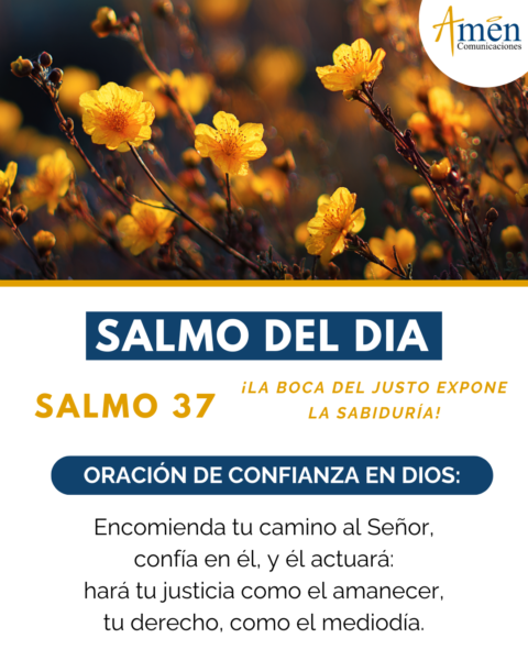 Salmo de hoy 11 de febrero 2026 - amen comunicaciones