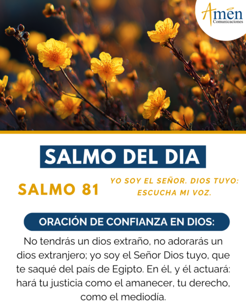 Salmo de hoy 13 de febrero 2026 - amen comunicaciones
