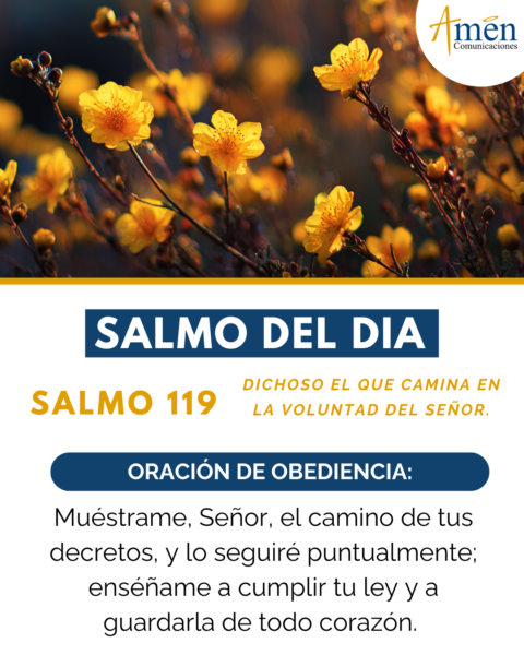Salmo de hoy 15 de febrero 2026 - amen comunicaciones