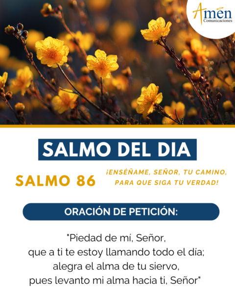 Salmo de hoy 21 de febrero 2026 - amen comunicaciones