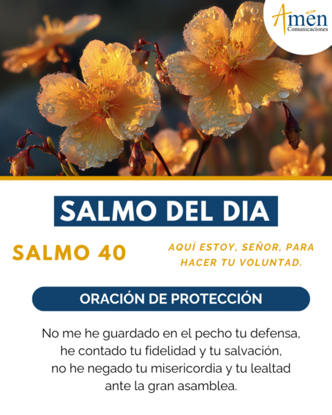 Salmo de hoy 25 de marzo 2026 - amen comunicaciones
