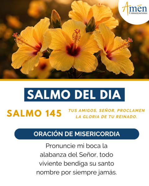 Salmo de hoy 4 de mayo 2026 - amen comunicaciones