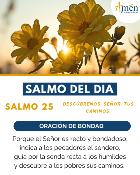 Salmo de hoy 4 de junio 2026 - amen comunicaciones