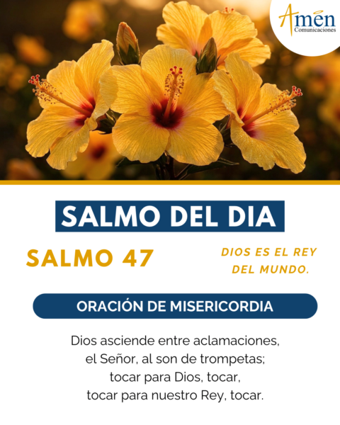 Salmo de hoy 17 de mayo 2026 - amen comunicaciones