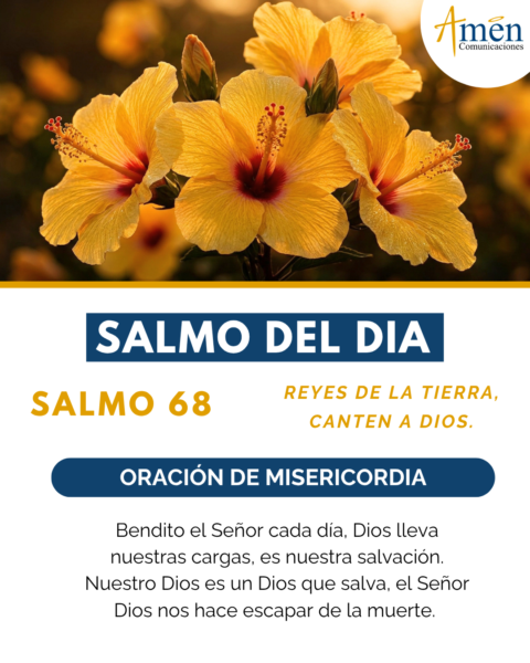 Salmo de hoy 19 de mayo 2026 - amen comunicaciones