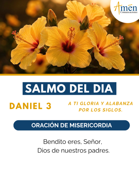 Salmo de hoy 31 de mayo 2026 - amen comunicaciones