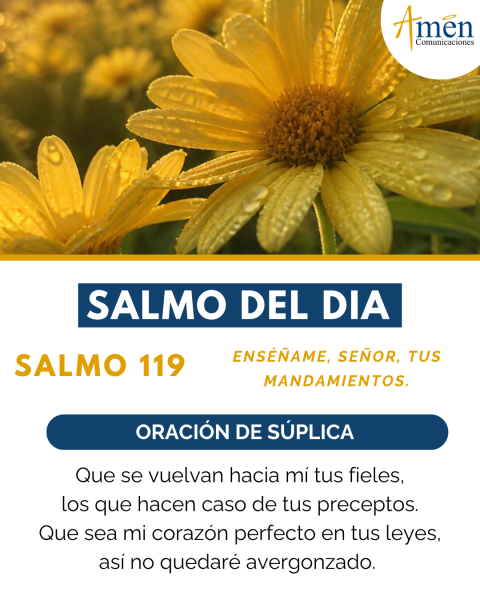 Evangelio de hoy - 3 de agosto 2026 - amen comunicaciones