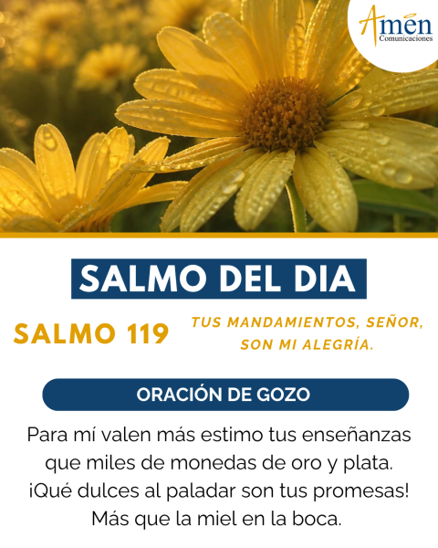 Evangelio de hoy - 11 de agosto 2026 - amen comunicaciones