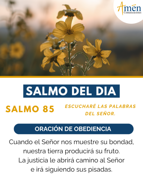 Salmo de hoy 4 de julio 2026 - amen comunicaciones