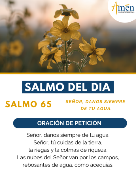 Salmo de hoy 12 de julio 2026 - amen comunicaciones