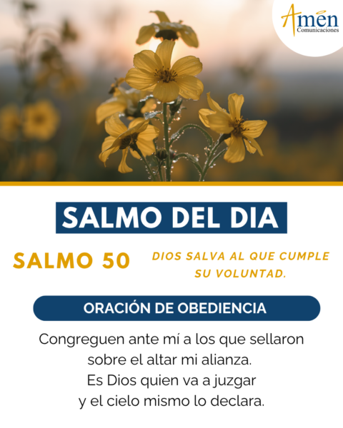 Evangelio de hoy - 20 de julio 2026 - amen comunicaciones