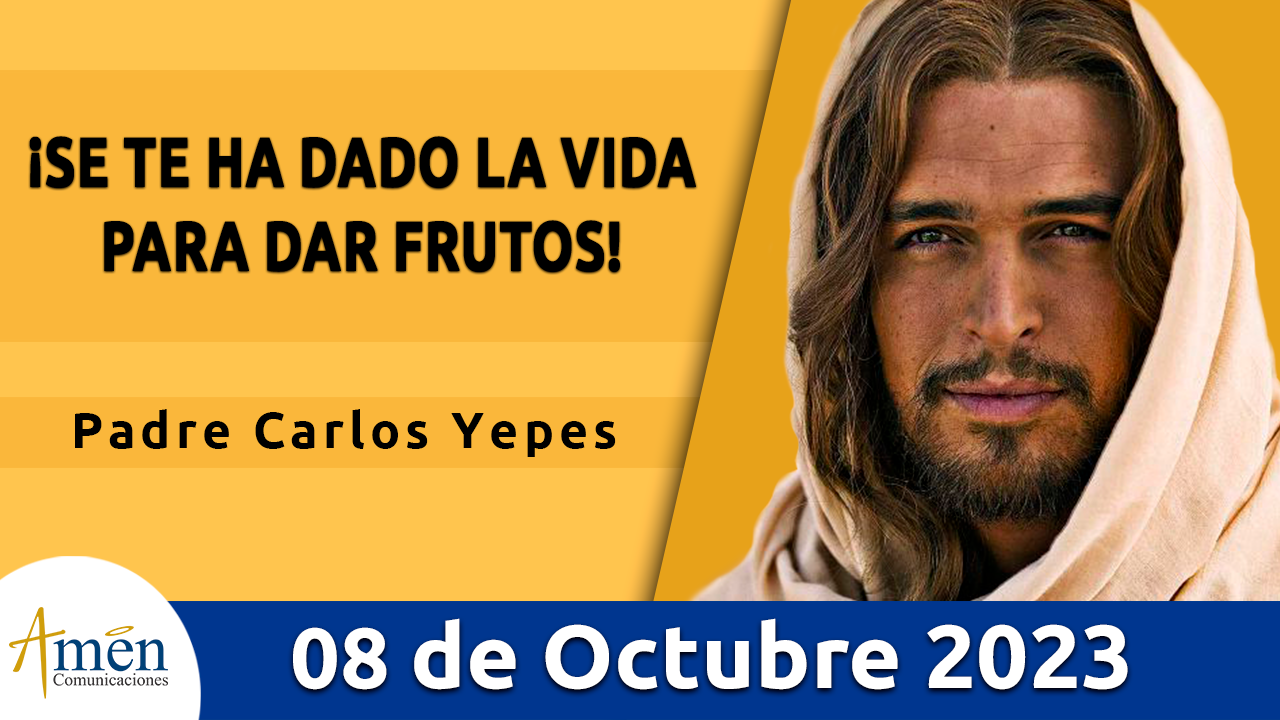 Evangelio del Día 8 de octubre Amén Comunicaciones