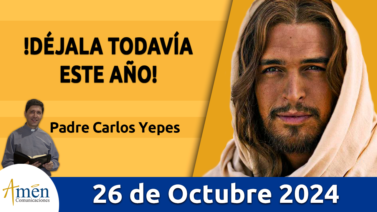 Evangelio del día - Amén comunicaciones - 26 de octubre de 2024