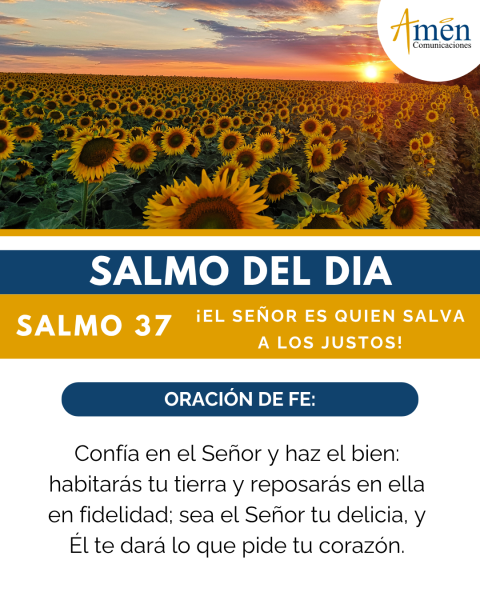 Salmo del día - 11 de julio - padre carlos yepes