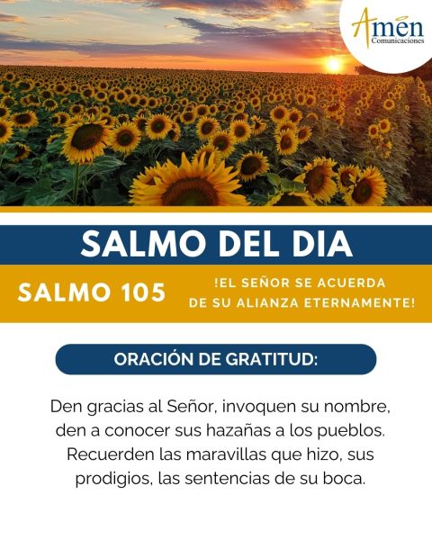 Evangelio de hoy 17 de agosto 2025 - amen comunicaciones